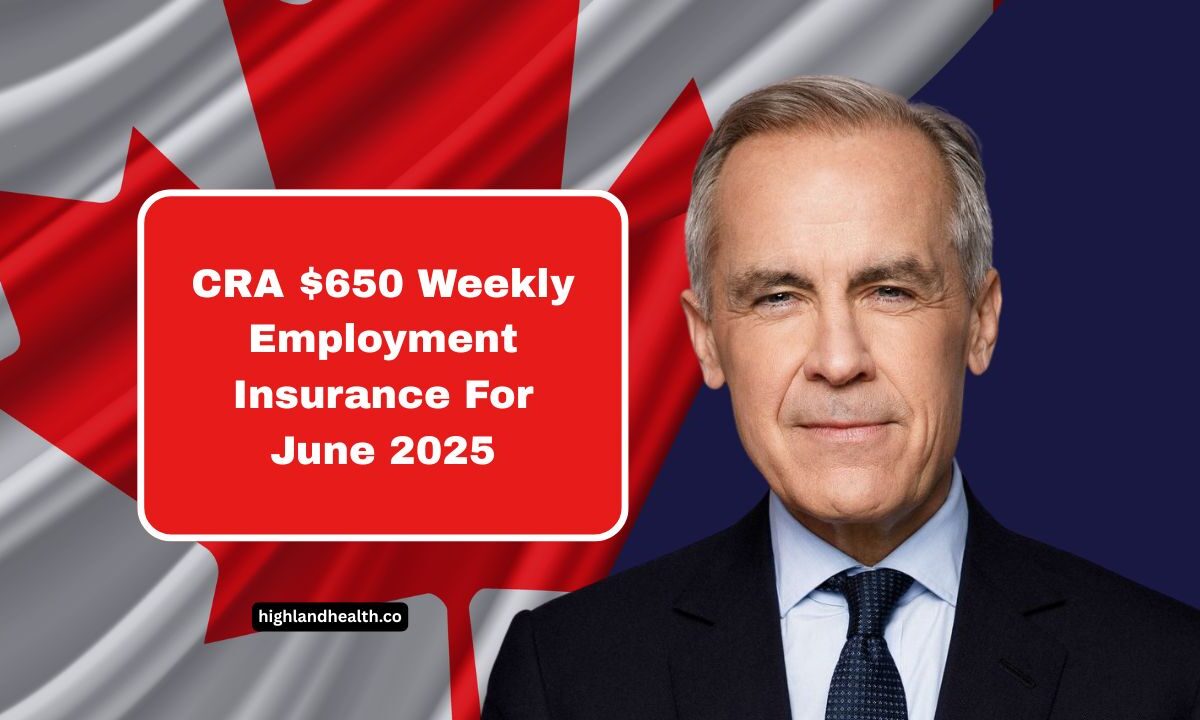 CRA $650 Weekly Employment Insurance For June 2025 – Eligibility And Payment Information