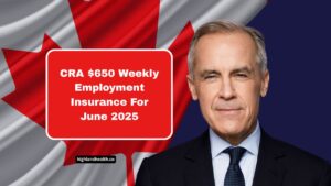 CRA $650 Weekly Employment Insurance For June 2025 – Eligibility And Payment Information